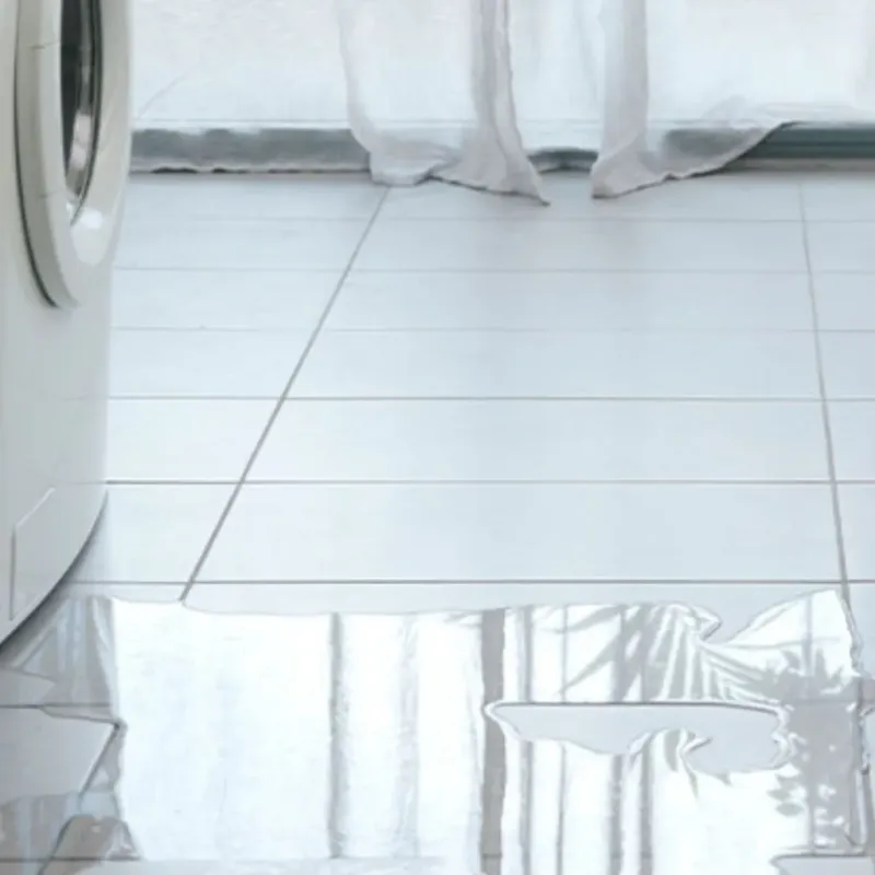 Appliance Leak Cleanup in Pasatiempo, CA