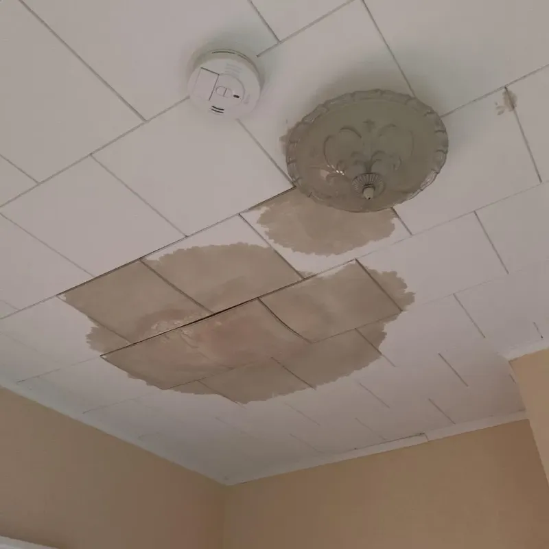 Ceiling Water Damage Repair in Pasatiempo, CA