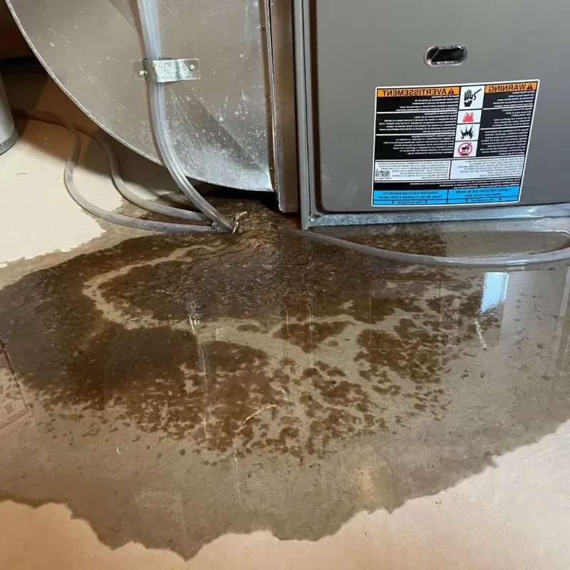 Pipe Burst and Leak Restoration in Pasatiempo, CA